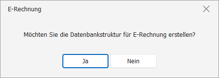 cobra Datenbankstruktur E-Rechnung